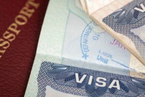 Visa Consultants
