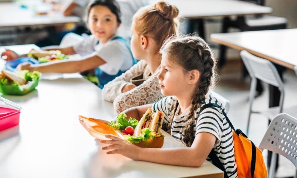 School Lunch Delivery Service